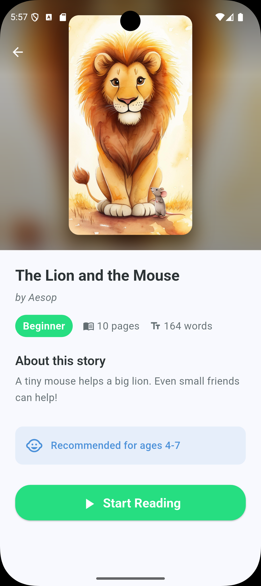 Story details and progress